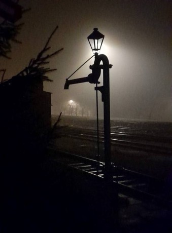 556_Oziveni2_328-011