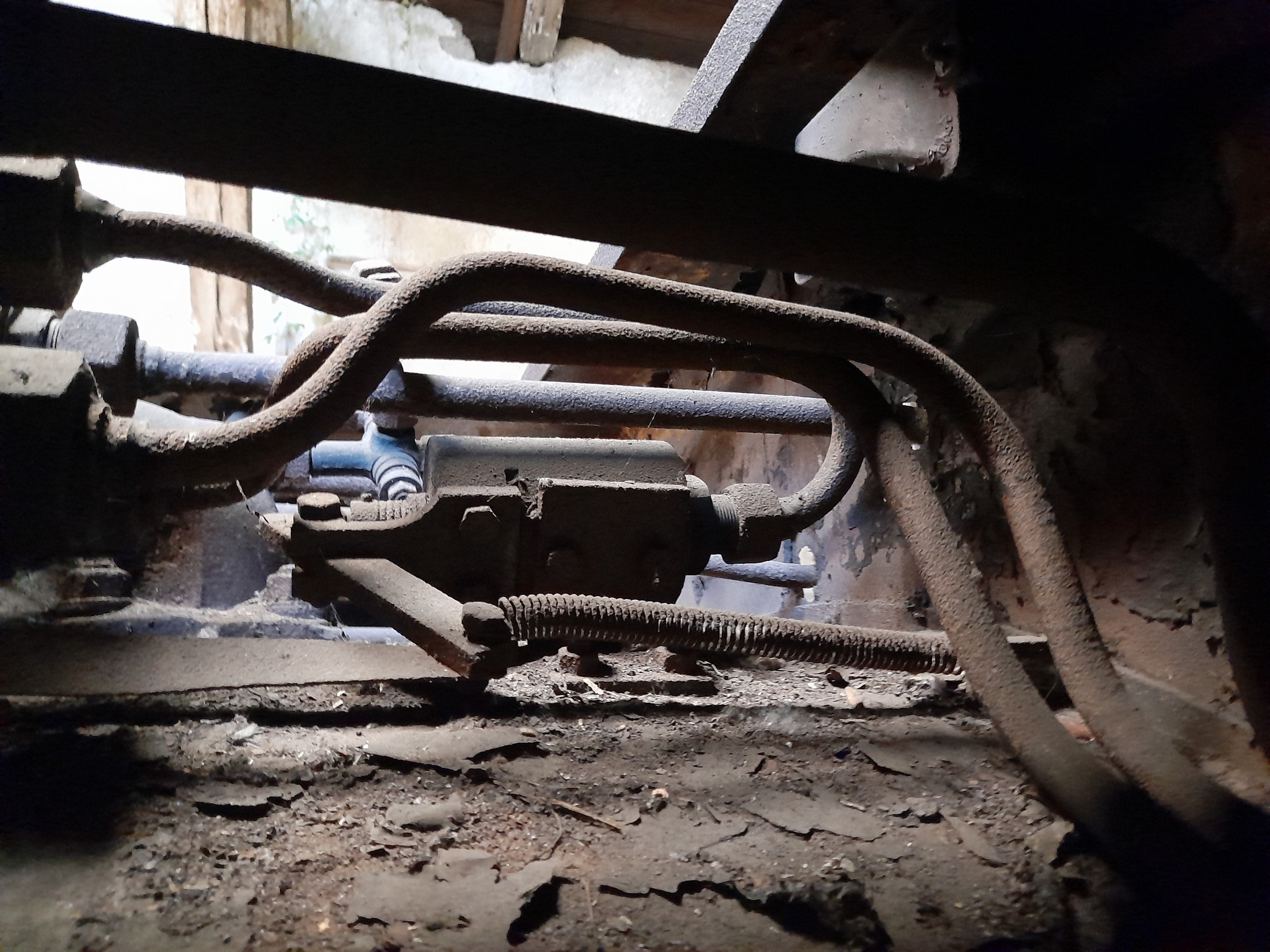 511_Oziveni2_328-011