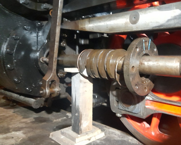 549_Oziveni2_328-011