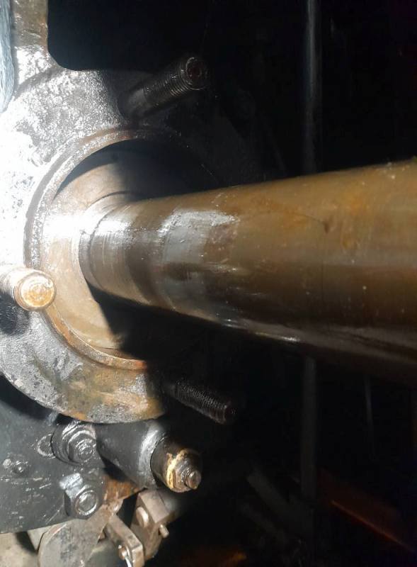 550_Oziveni2_328-011