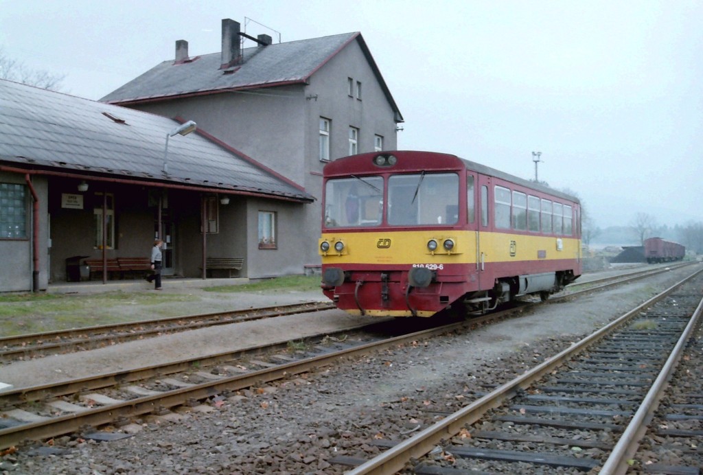 810.629 št jaro.jpg