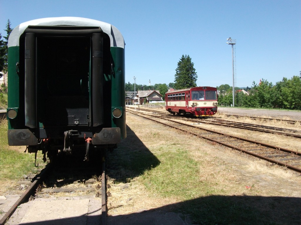 d810.jpg