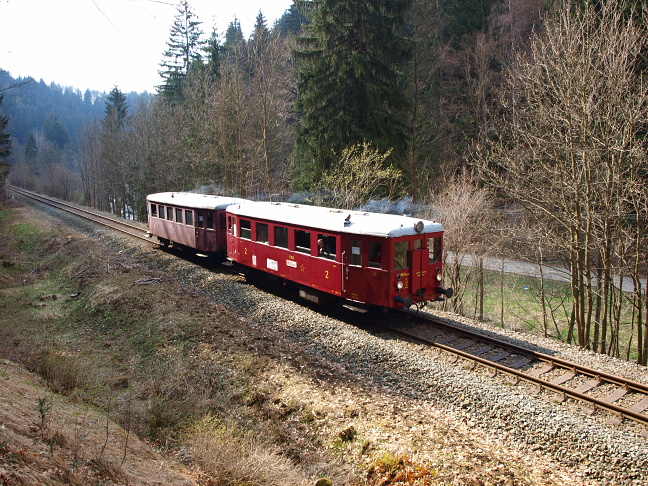 P4215953