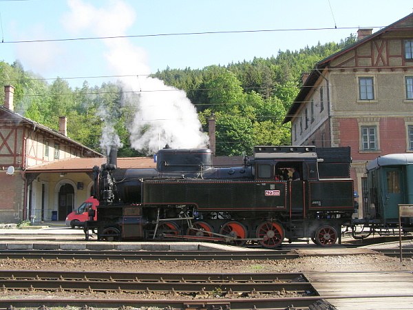 P5196118