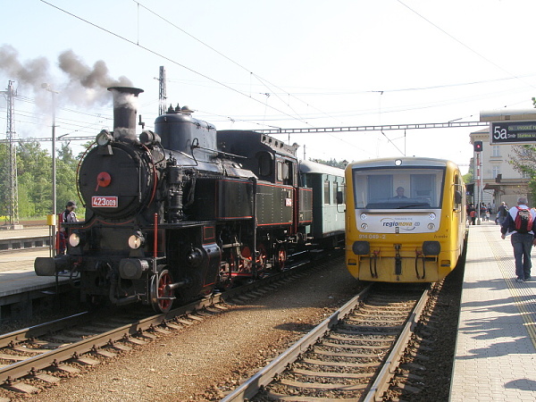 P5196132