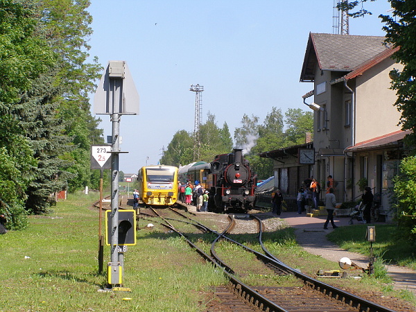 P5196159