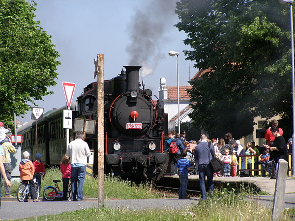 P5196160