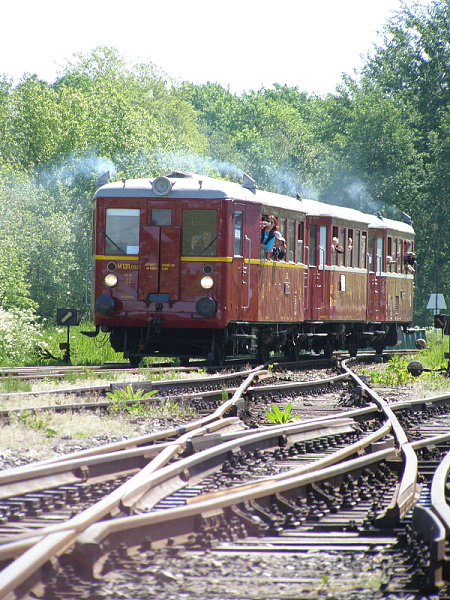 P5196181