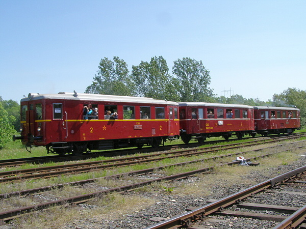 P5196185