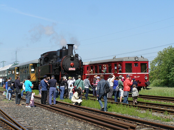 P5196187