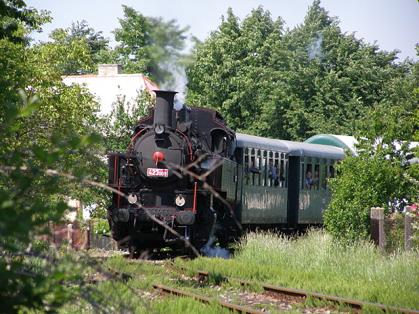 P5196205