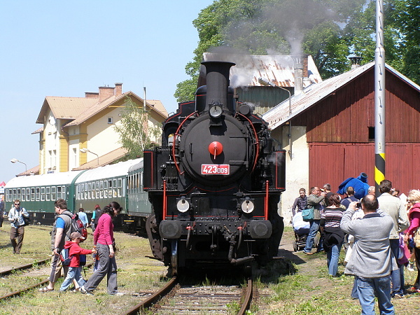 P5196212