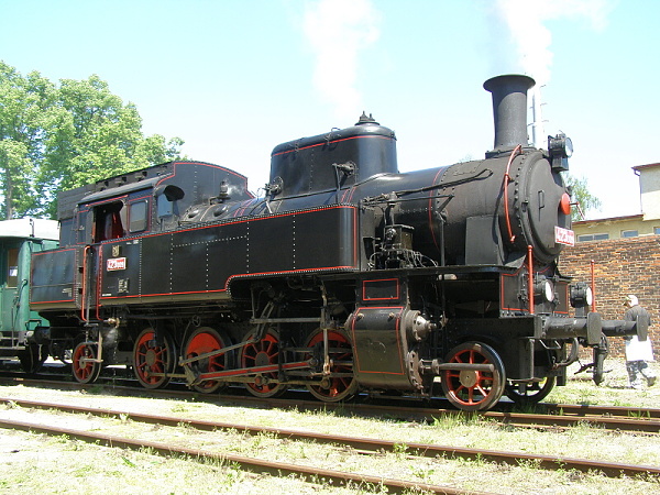 P5196219