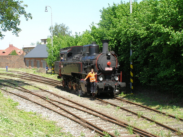 P5196238