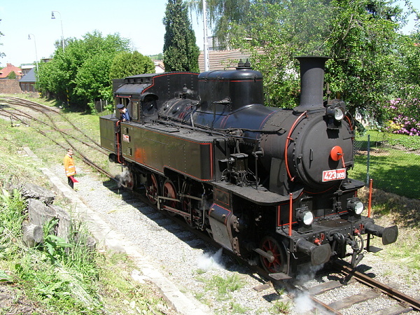P5196239