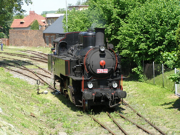 P5196240