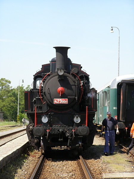 P5196245